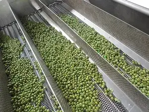 Линия по обжарке ореха и нанесению специй